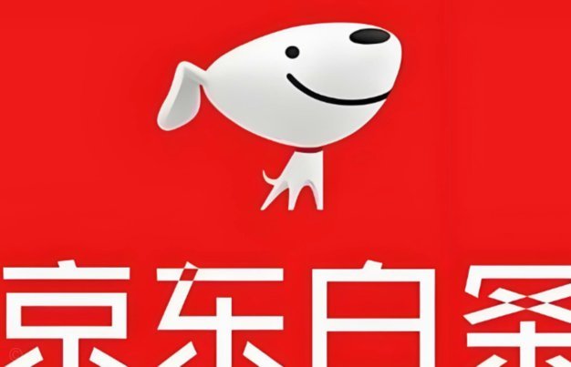 白条现取怎么玩