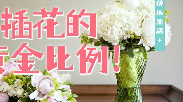 洋洋花呗是什么平台