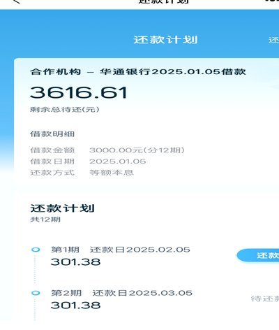如何在拍拍贷成功借款？