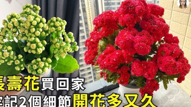 拿去花套现风险：年轻人该如何理性用钱？