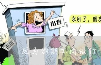 分期乐账户冻结怎么办？解冻方法全解析