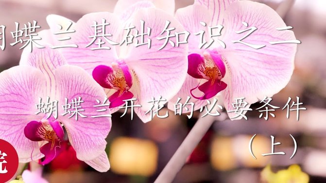 花呗分期套现平台 出多少钱