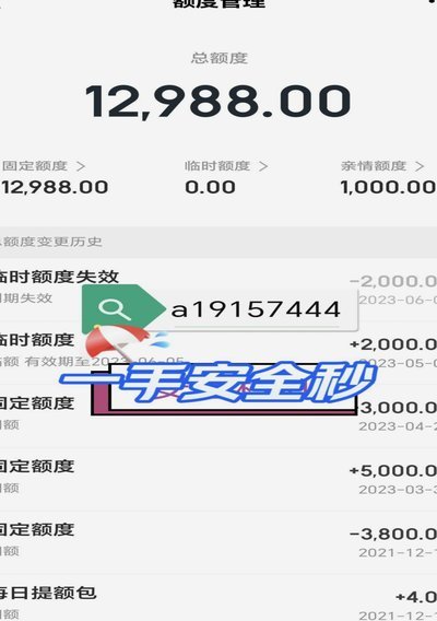 得物佳物分期额度怎么用