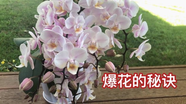 花呗分期如何被套现？