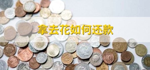 携程拿去花提现商家现金怎么办