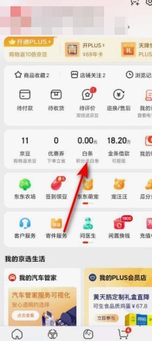 白条怎么提前全部还款