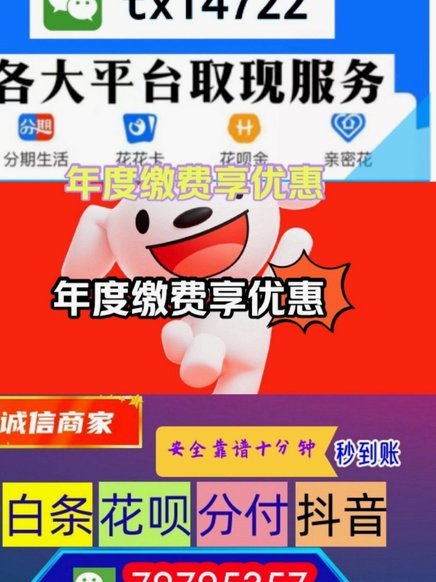 平台能否看到商家白条额度？
