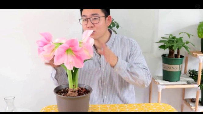 携程上的拿去花怎么用