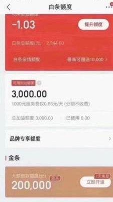 白条付费额度怎么套 取的