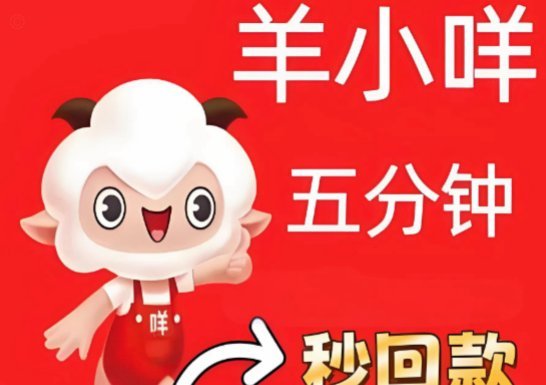 羊小咩的额度在哪里看