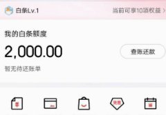 白条平台是什么