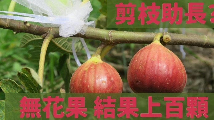 得物里面的余额怎么花