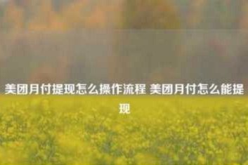 美团月付取现机制解析