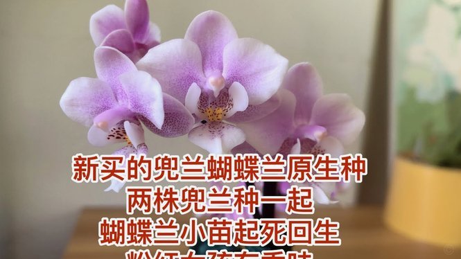 花呗提现会扣费吗？知情看完！