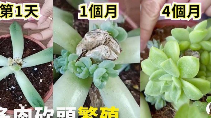 拿去花套现安全吗  怎么办？
