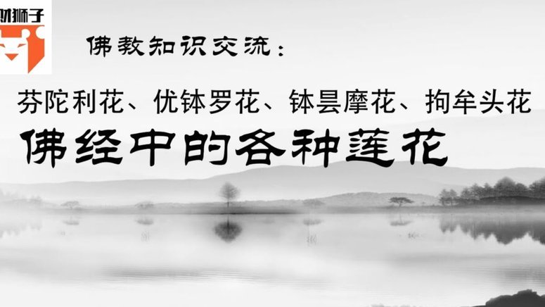 使用花呗如何避免违规操作？