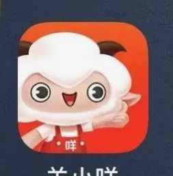 羊小咩回收：从单一到循环