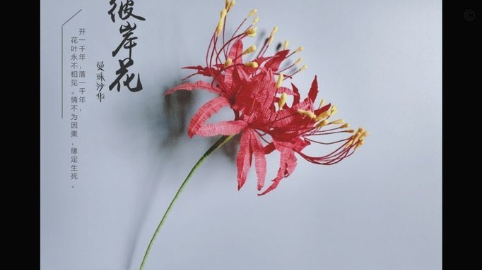 消费如何转化为知识资产