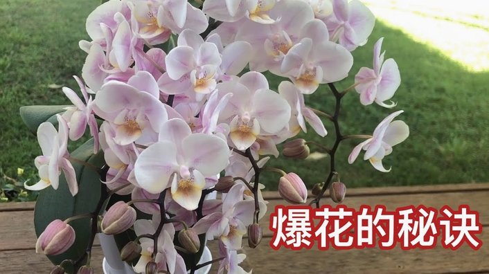 拿去花怎么自己套现