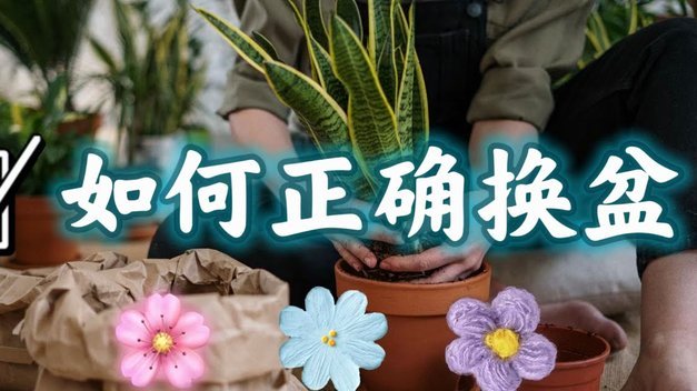 花呗套钱背后的真相