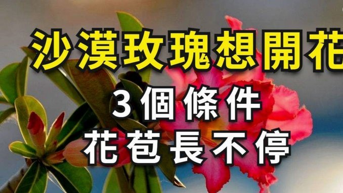 花呗套现冻结后多久能恢复？
