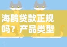 海鸥借款平台解析：技术优势与合规风控的创新实践