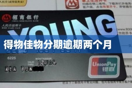 得物佳物分期申请流程：信用评估与额度获取机制详解