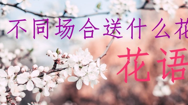 花呗免息转出三步轻松操作