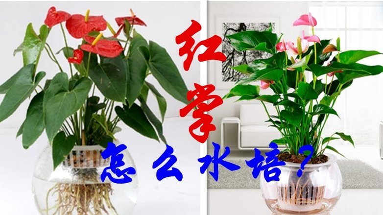 解析2021年花呗使用背后的各种套路与潜在风险