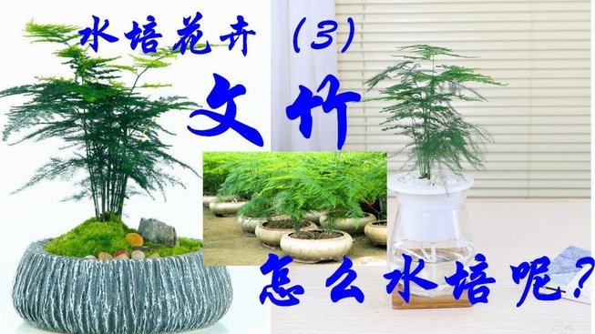 2021怎么套花呗