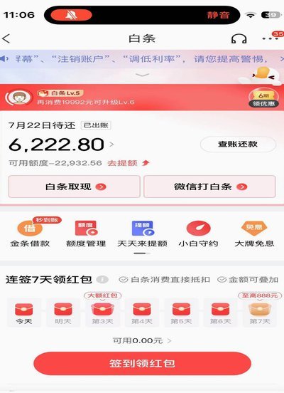 白条部分还款小技巧