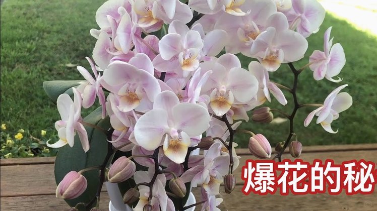 花呗套现有多危险？一文说清