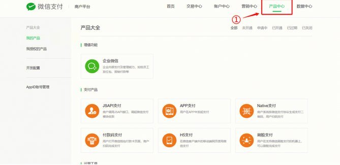 微信分付套出来 怎么还款