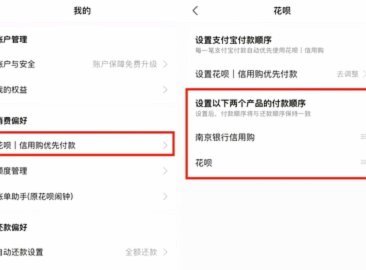 12306为何不支持花呗支付？