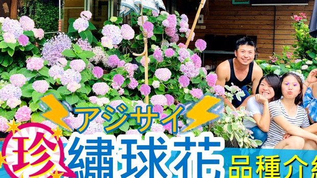 携程拿去花怎么提前一次性还款