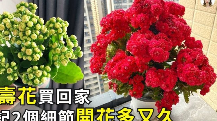 携程拿去花怎么提前一次性还款