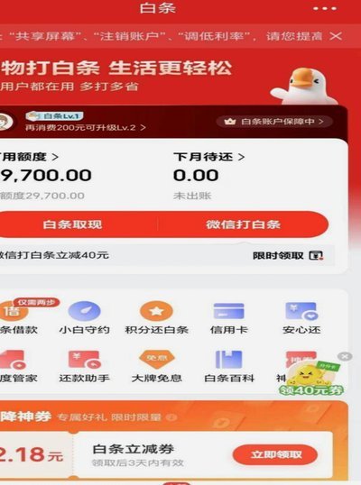 白条可以和客服协商晚几天